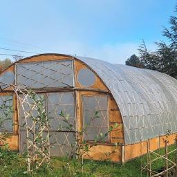 grande serre bambous murs fenetres