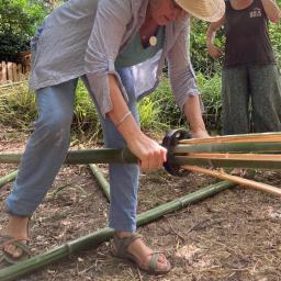 stage bambou fendre avec fendeur