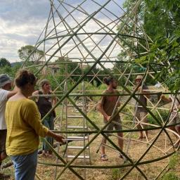 stage grand zome bambou courbe