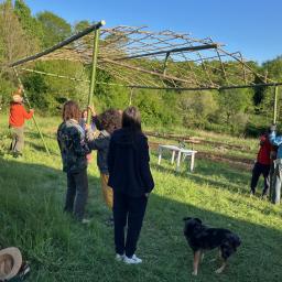 pergola bambou formation