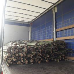 livraison cannes bambou gros