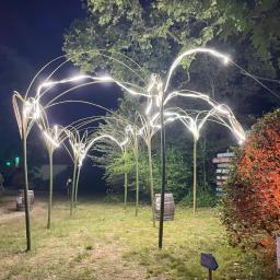 Arcades festival la claque 2024